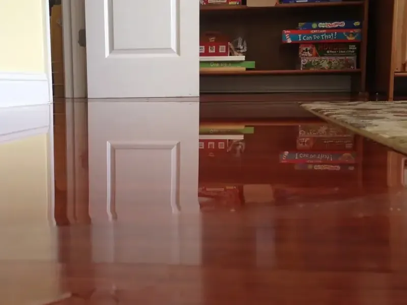 Hardwood floor covered in standing water ahead of extraction