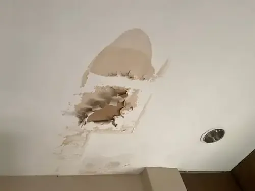 Peeling, water-damaged ceiling drywall next to a recessed light