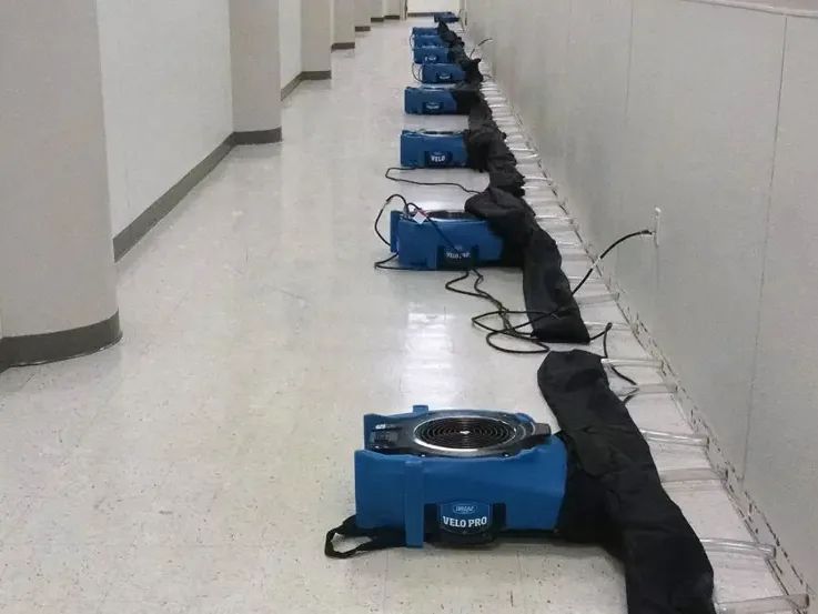 A line of air movers drying wall bases down a long commercial hallway