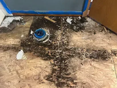 Stained subfloor around a toilet flange with the flooring pulled up