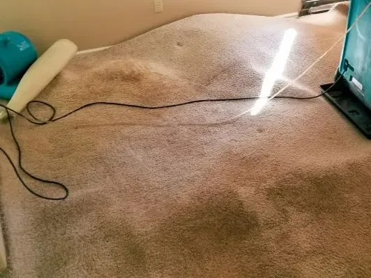 Extraction unit and air mover set up on soaked carpet during water removal
